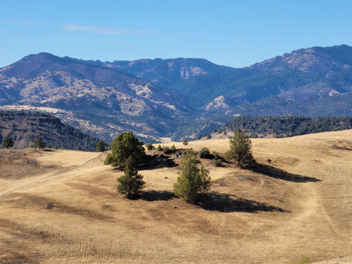 Decorative background for Near Iron Gate Reservoir image 10