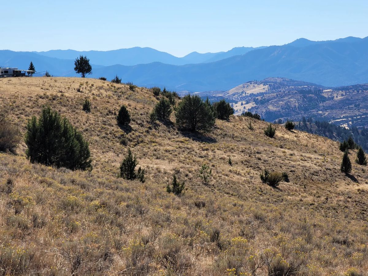 Decorative background for Near Iron Gate Reservoir image 11