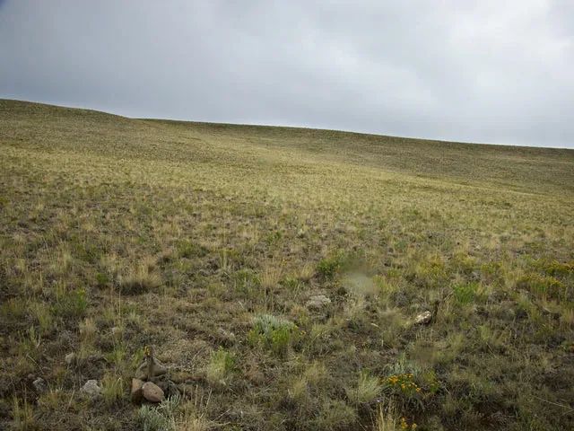 Oversized Property, Gently Sloped - Image 2