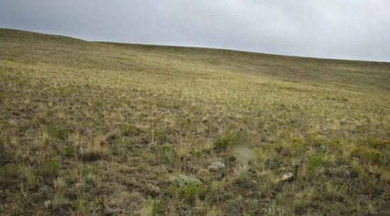 Oversized Property, Gently Sloped in Park County, CO