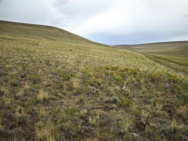 Oversized Property, Gently Sloped in Park County, CO