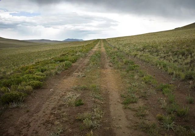 Oversized Property, Gently Sloped in Park County, CO