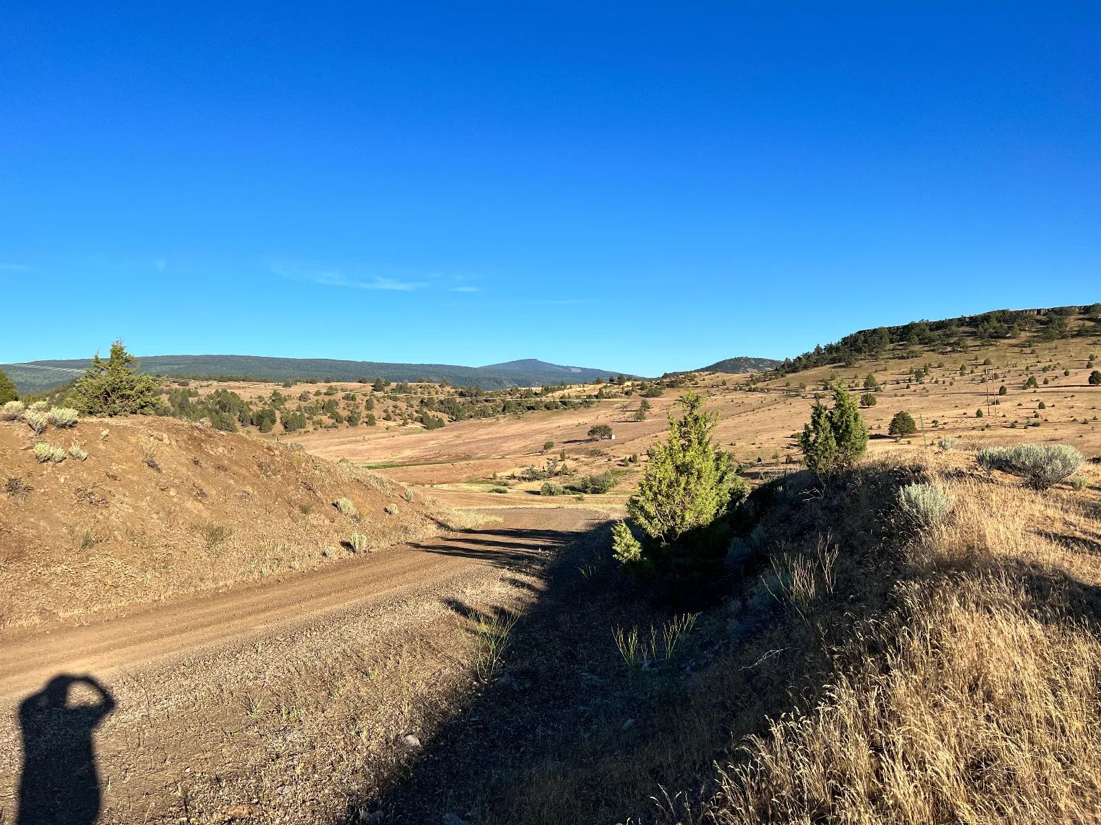 Nice Slope for Amazing Views in Siskiyou County, CA