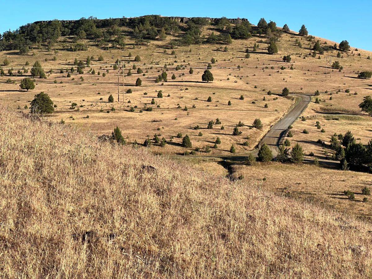 Nice Slope for Amazing Views - Image 3