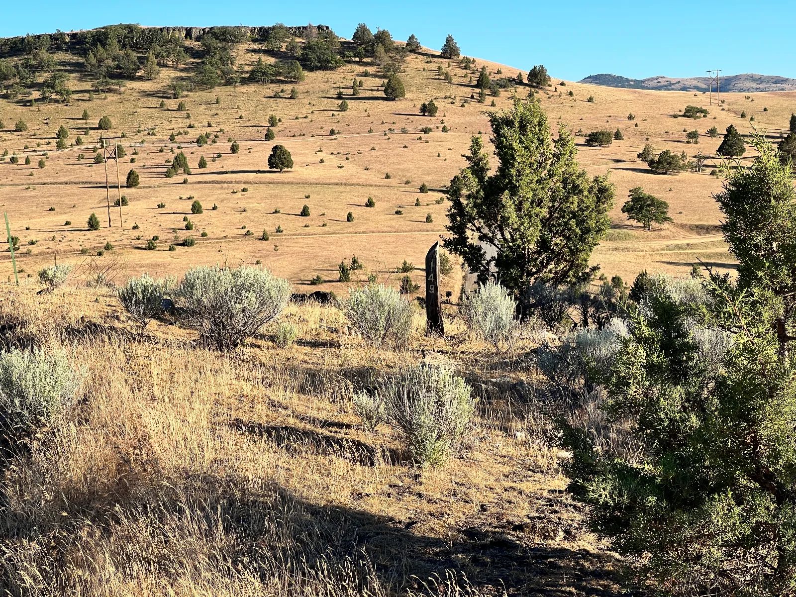 Nice Slope for Amazing Views in Siskiyou County, CA
