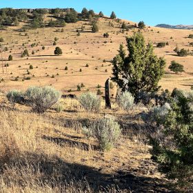 Nice Slope for Amazing Views in Siskiyou County, CA