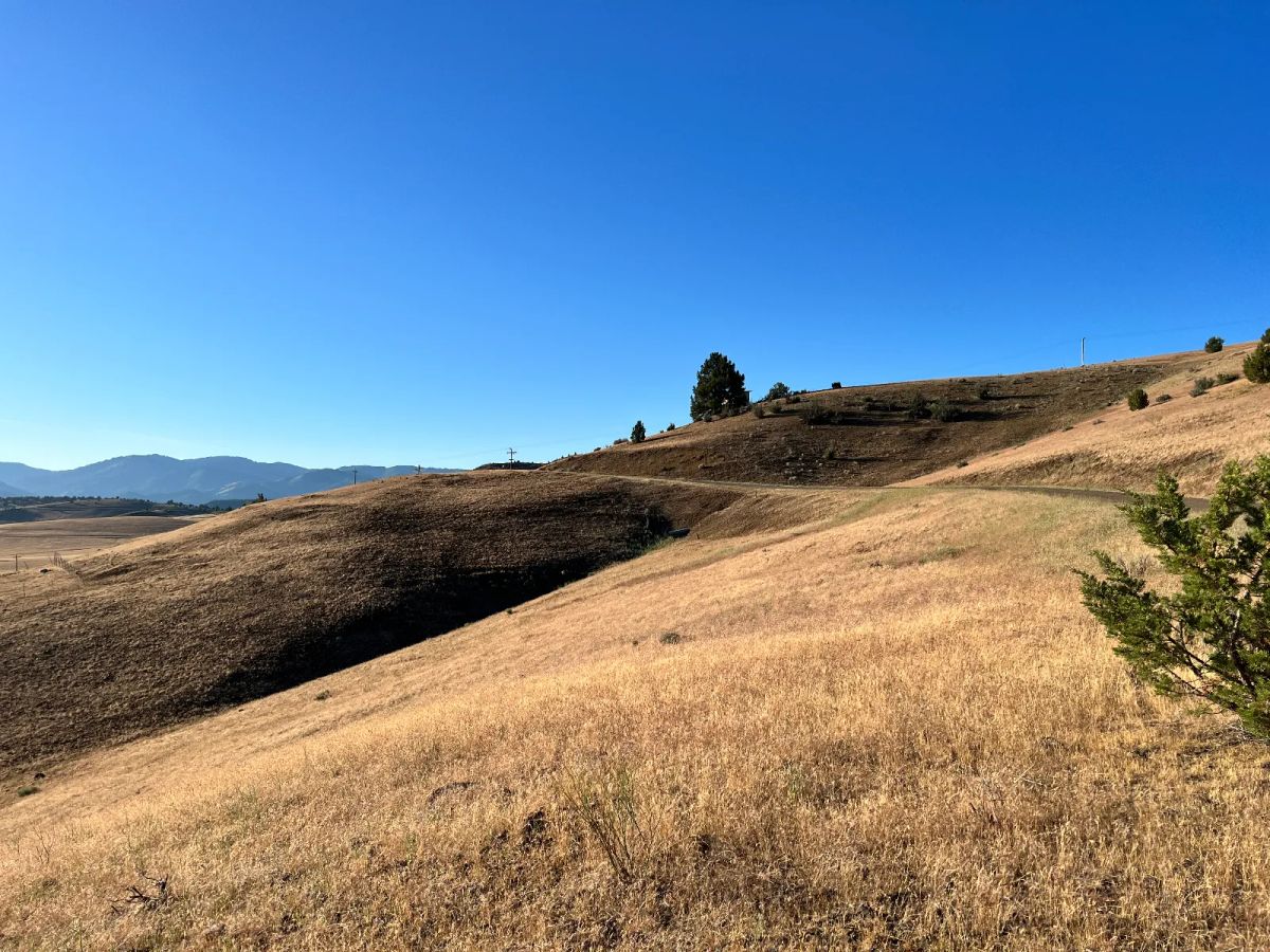 Decorative background for Nice Slope for Amazing Views image 6