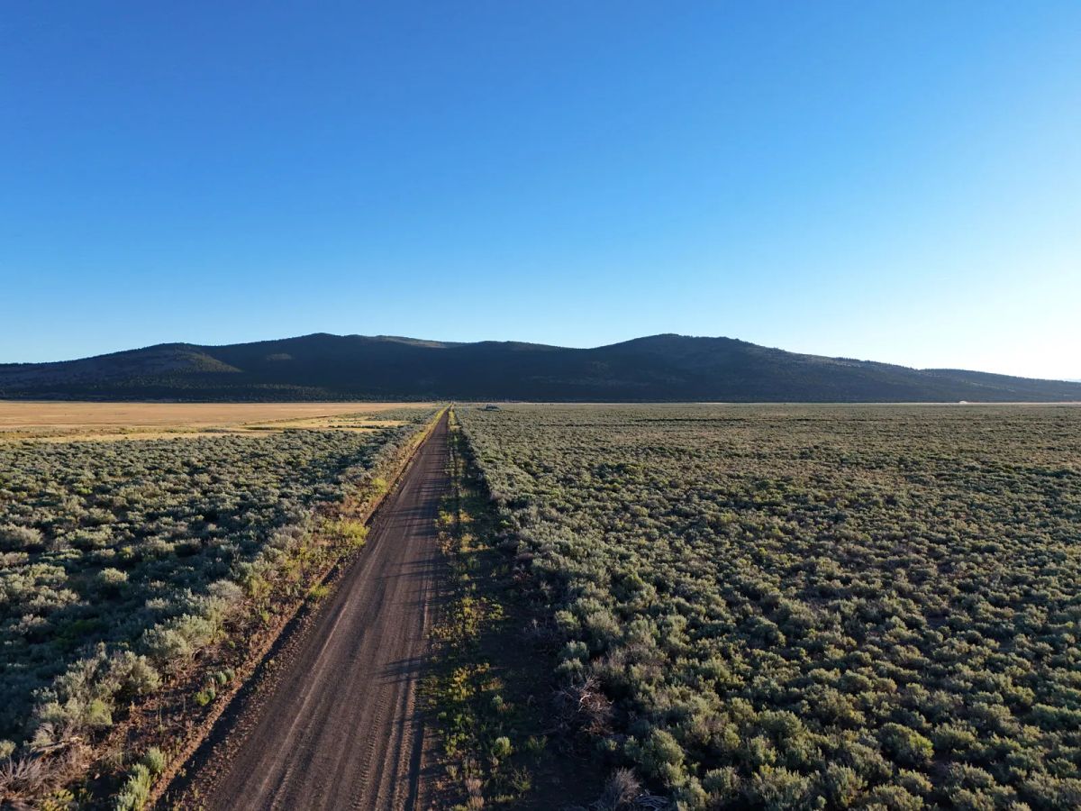 One hour from Susanville. Level Parcel - Main image