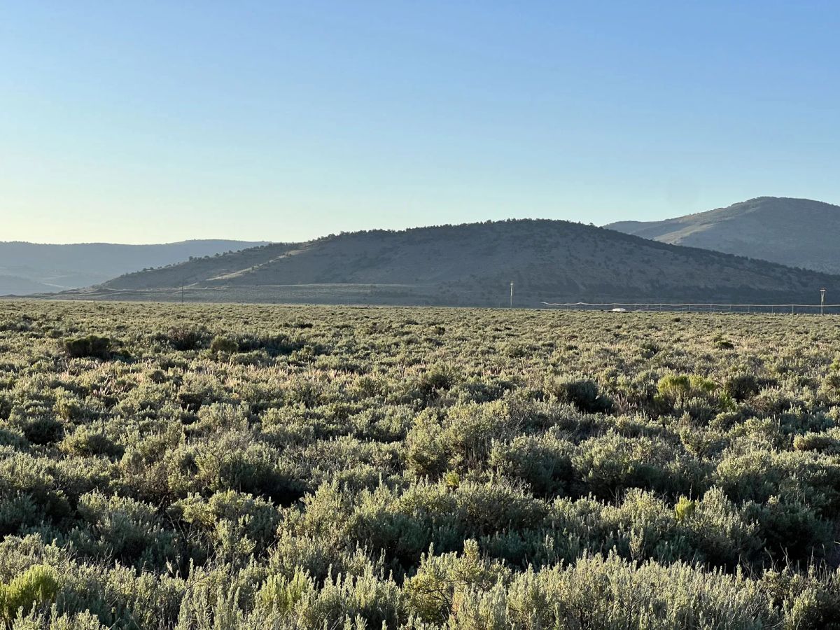 Decorative background for One hour from Susanville. Level Parcel image 9