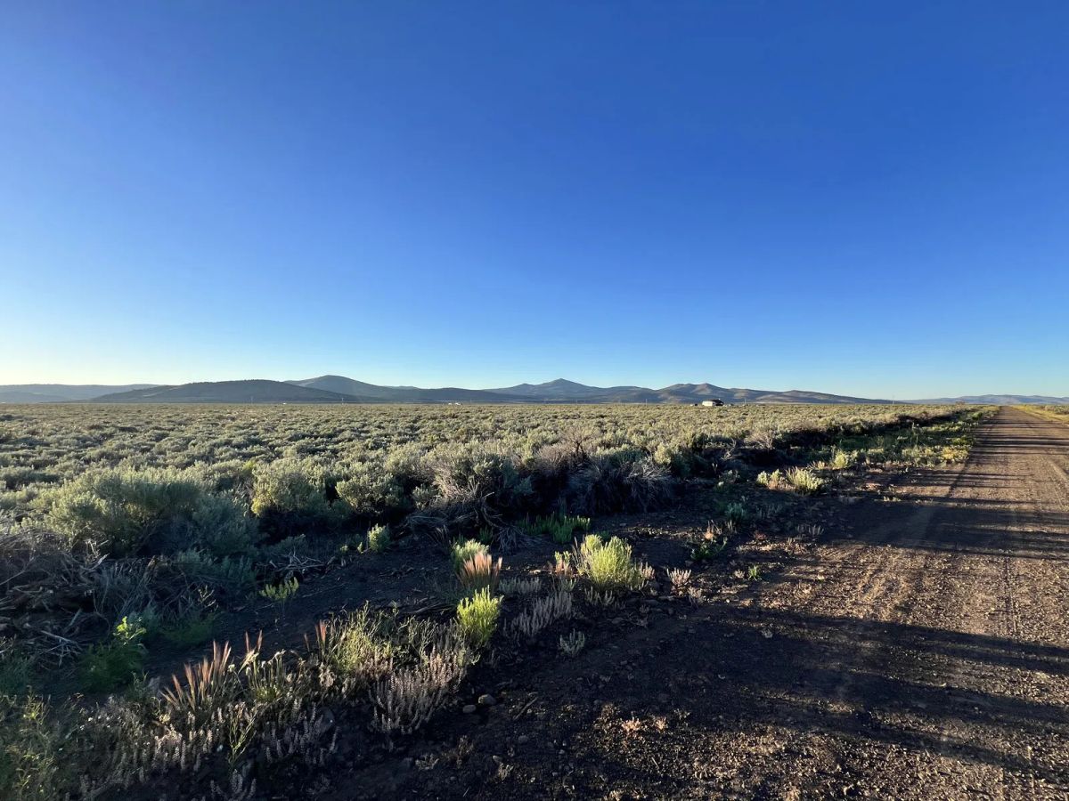 Decorative background for One hour from Susanville. Level Parcel image 10