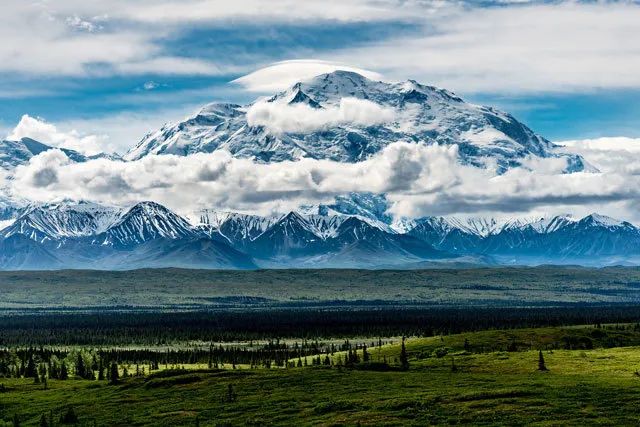 Decorative background for Own Alaskan Wilderness near Susitna River and Derf Lake image 9