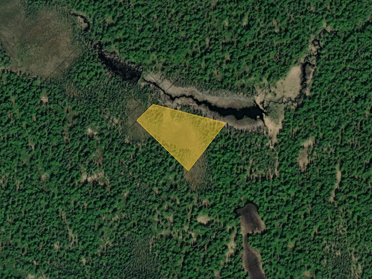 Decorative background for Own Alaskan Wilderness near Susitna River and Derf Lake image 21