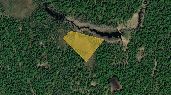Own Alaskan Wilderness near Susitna River and Derf Lake in Matanuska-Susitna County, AK