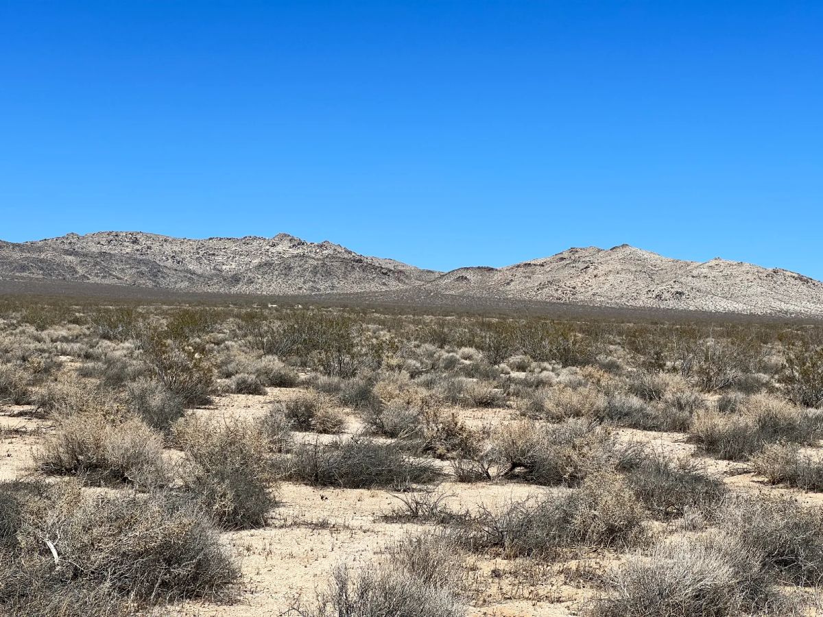 Decorative background for Less than 3 Hours to Los Angeles image 6