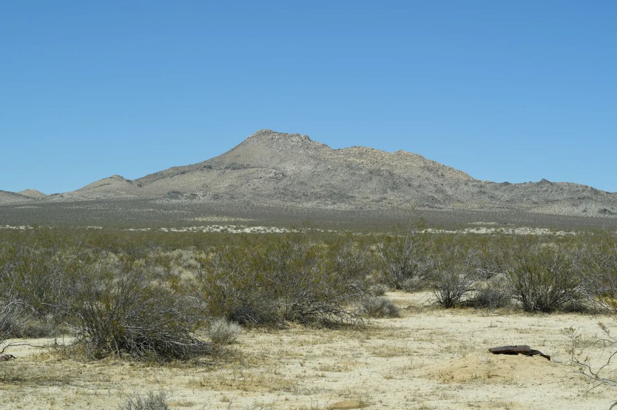 Decorative background for Less than 3 Hours to Los Angeles image 7