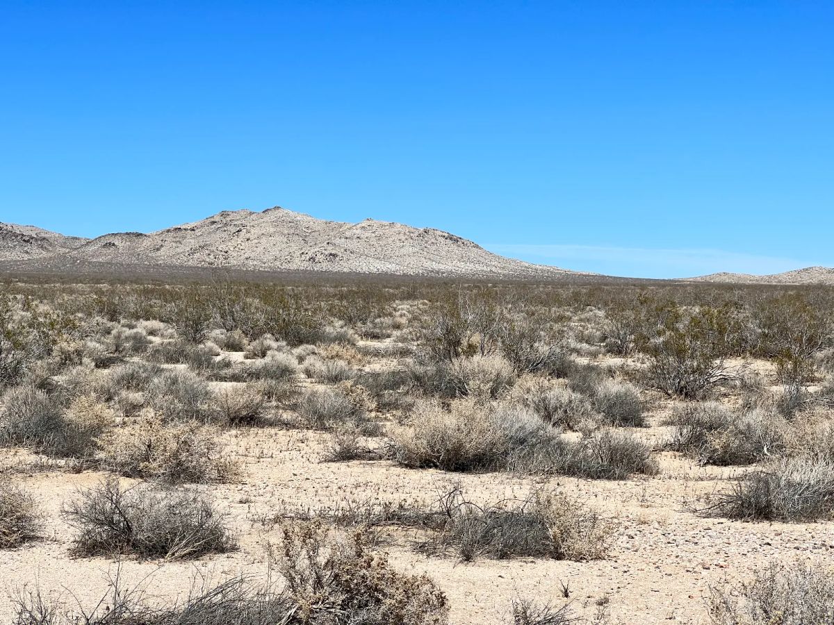 Decorative background for Less than 3 Hours to Los Angeles image 10