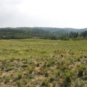 Power at the Road, Great Building Location in Park County, CO
