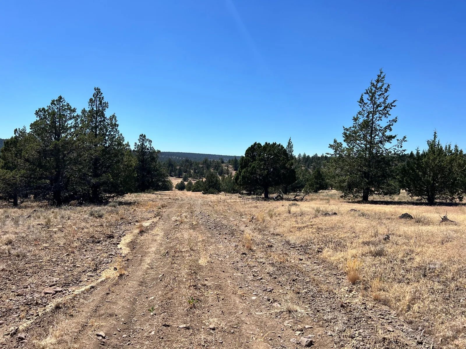 Two Lots Included with Sale in Modoc County, CA