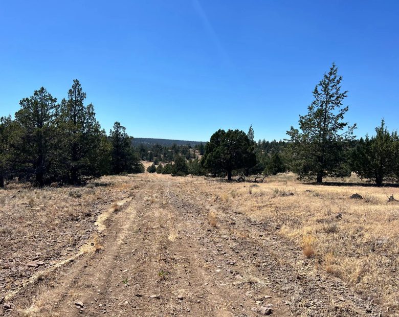 Two Lots Included with Sale in Modoc County, CA