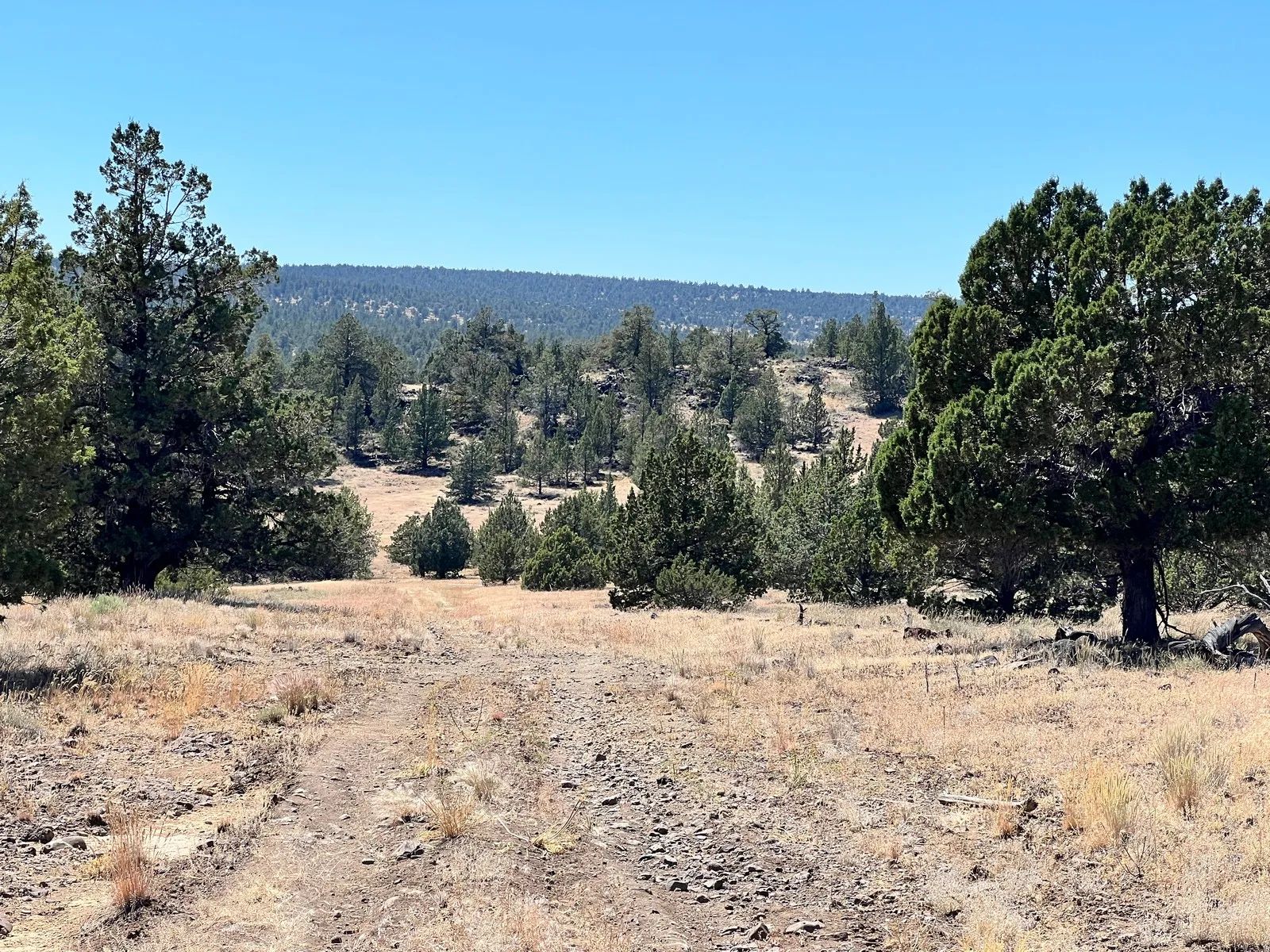 Two Lots Included with Sale in Modoc County, CA