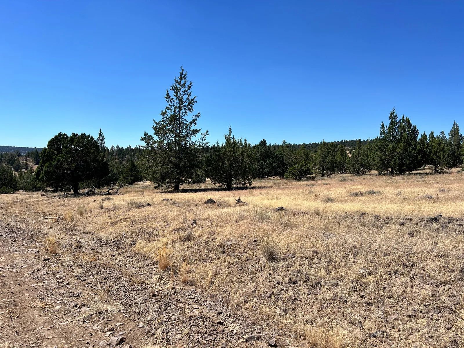 Two Lots Included with Sale in Modoc County, CA