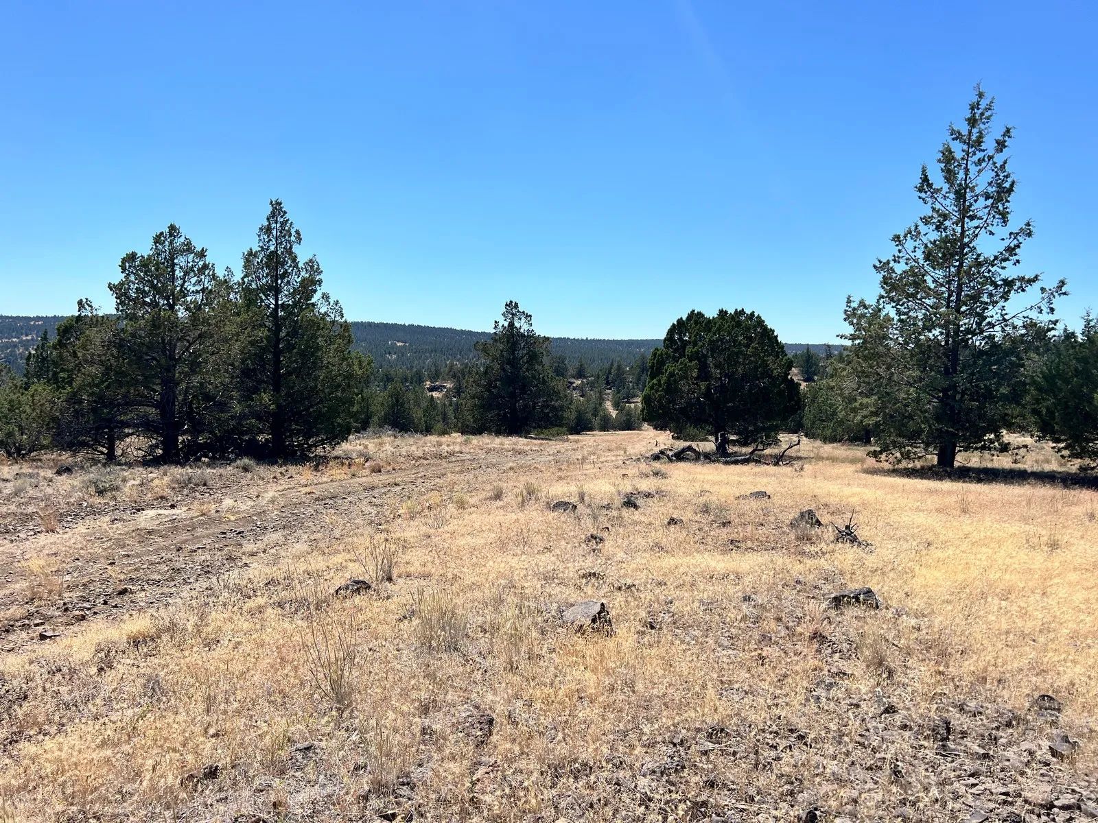 Two Lots Included with Sale in Modoc County, CA