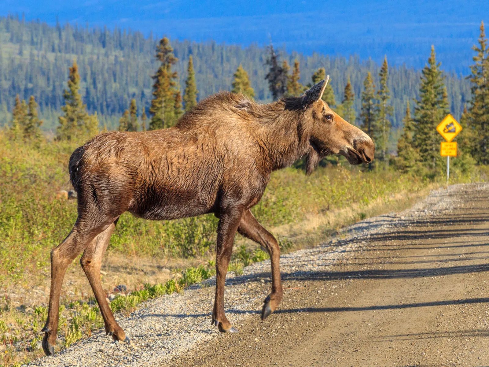 Remote Property Near Deadman Lake in Yukon-Koyukuk County, AK