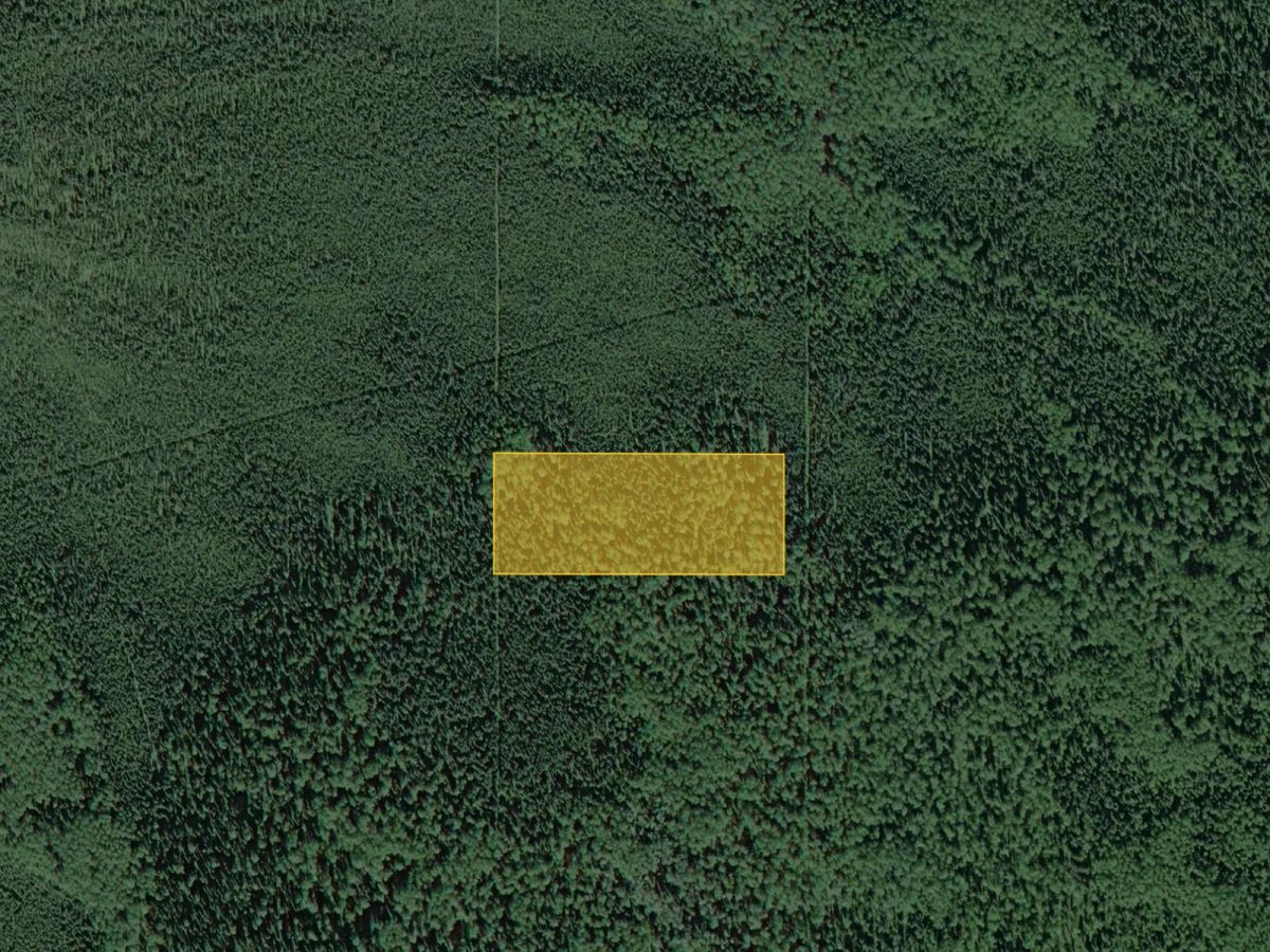 Decorative background for Remote Property Near Deadman Lake image 12