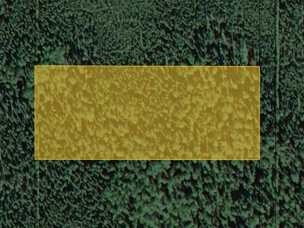 Decorative background for Remote Property Near Deadman Lake image 22