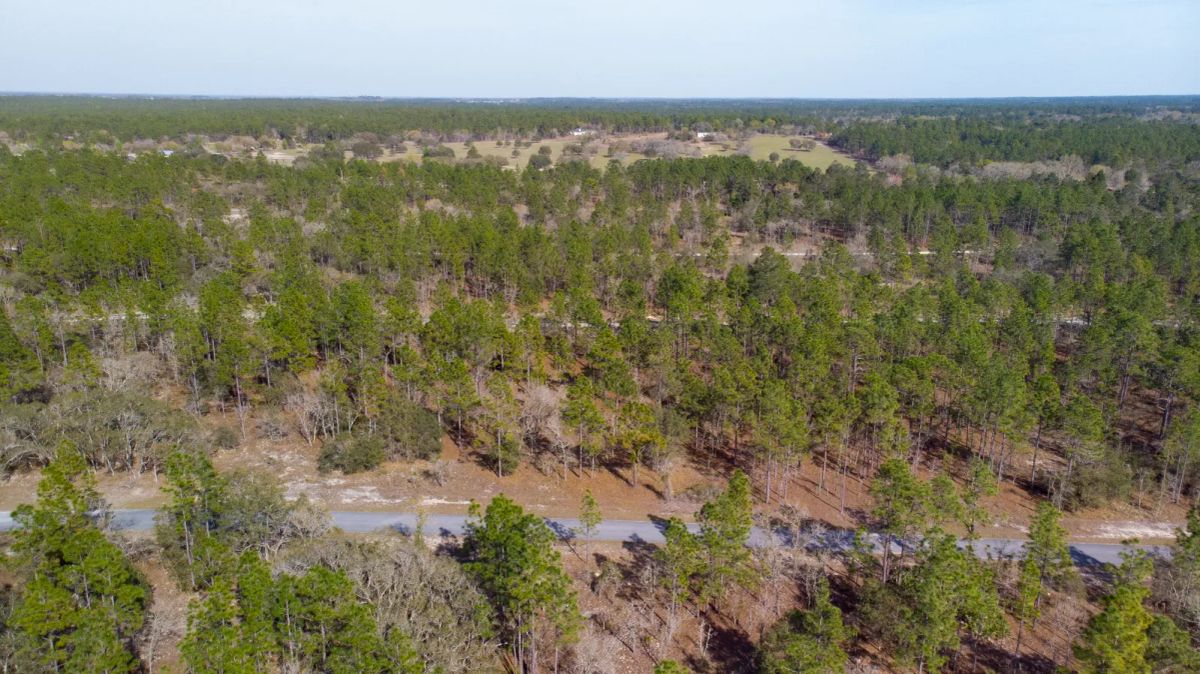 Quiet Area, Sunny Florida - Main image