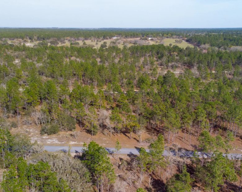 Quiet Area, Sunny Florida in Levy County, FL