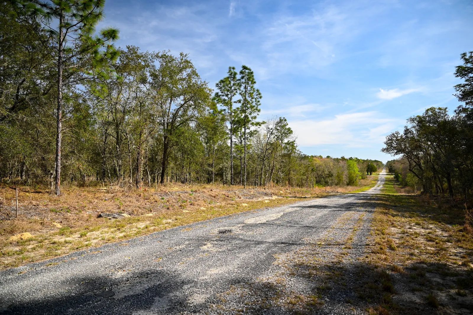 Quiet Area, Sunny Florida in Levy County, FL
