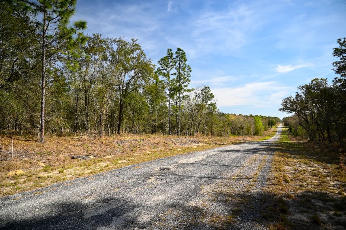Quiet Area, Sunny Florida - Image 2