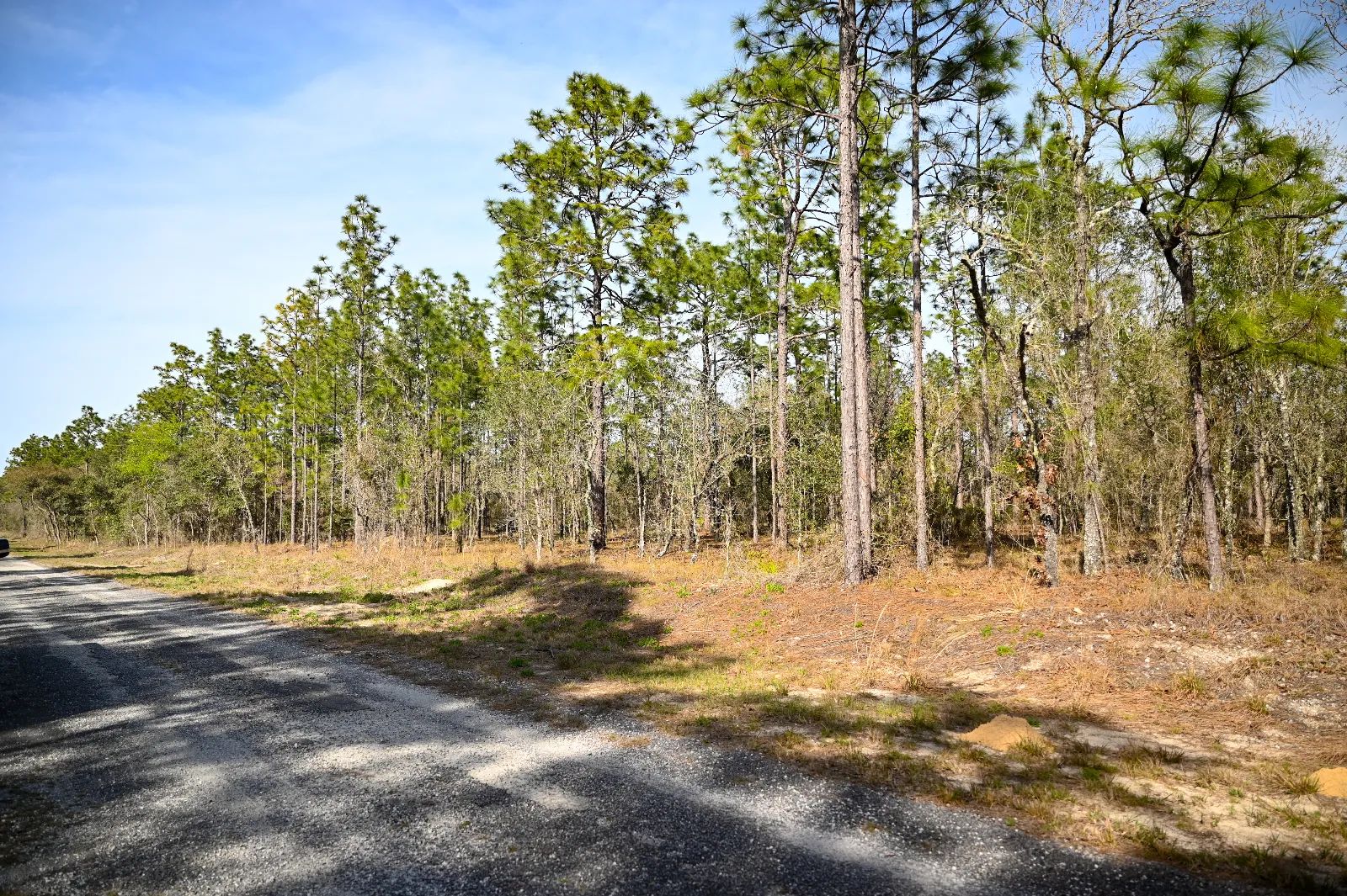 Quiet Area, Sunny Florida in Levy County, FL
