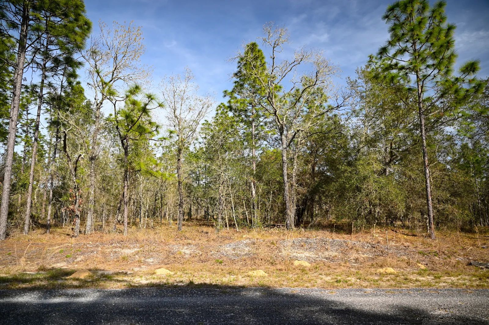 Quiet Area, Sunny Florida in Levy County, FL