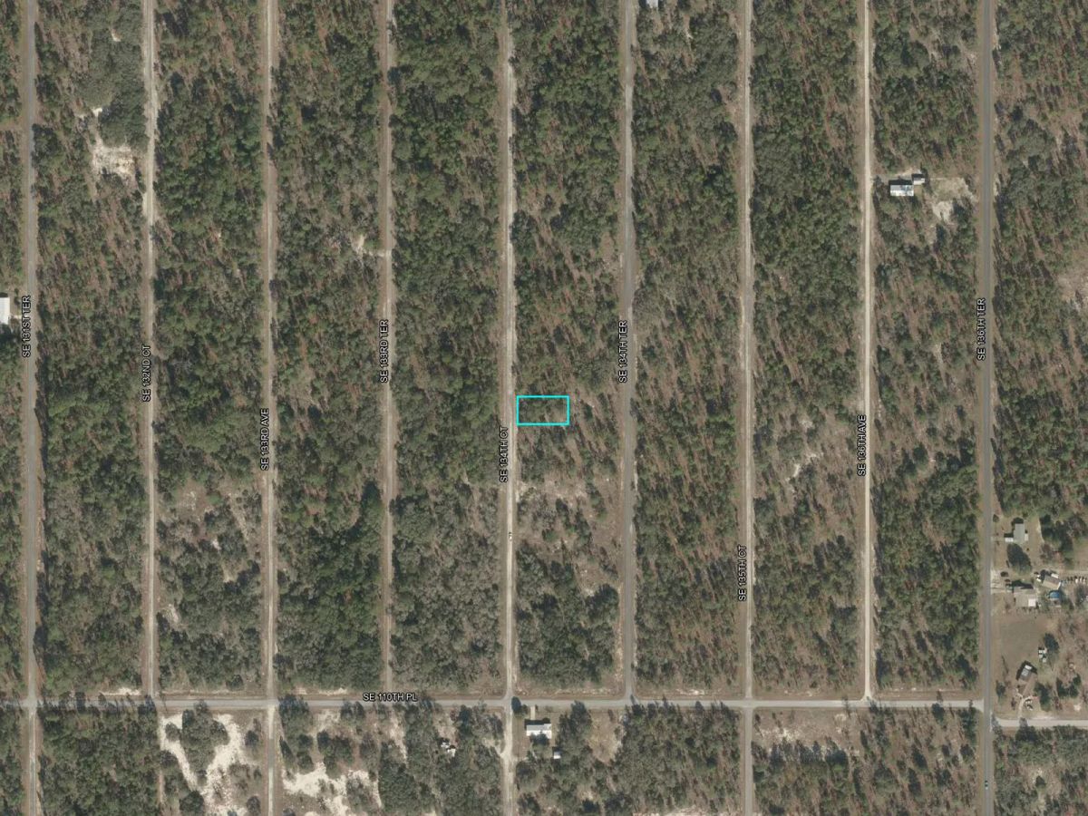 Decorative background for Quiet Area, Sunny Florida image 12