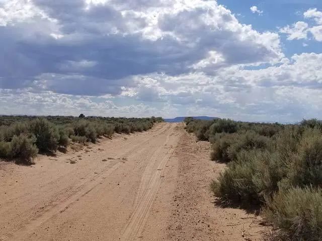 Level Property on County Maintained Road - Main image