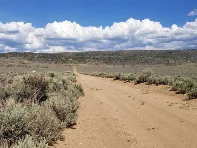 Level Property on County Maintained Road - Image 2