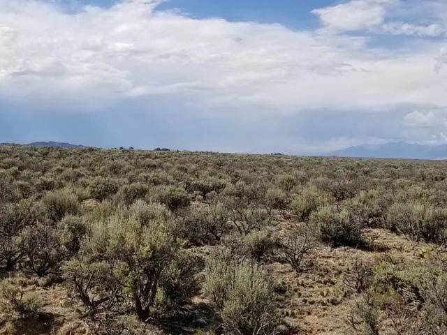 Level Property on County Maintained Road in Costilla County, CO