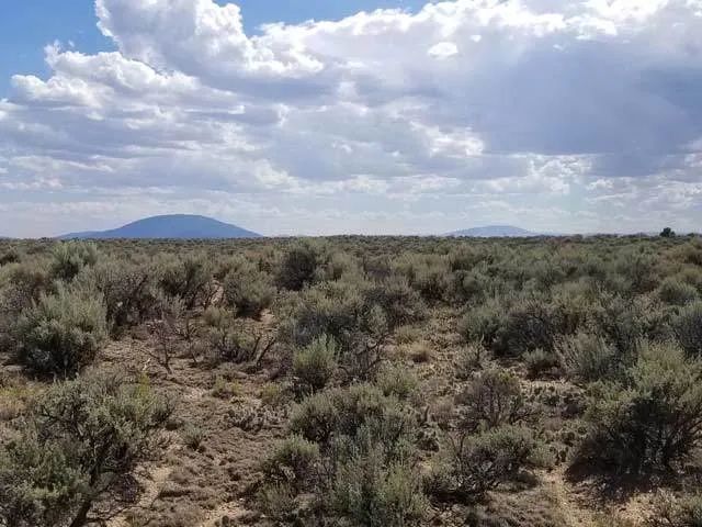 Level Property on County Maintained Road - Image 4
