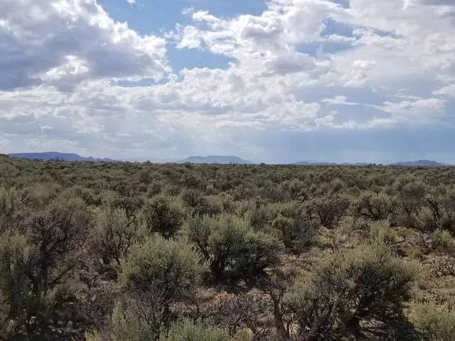Decorative background for Level Property on County Maintained Road image 6