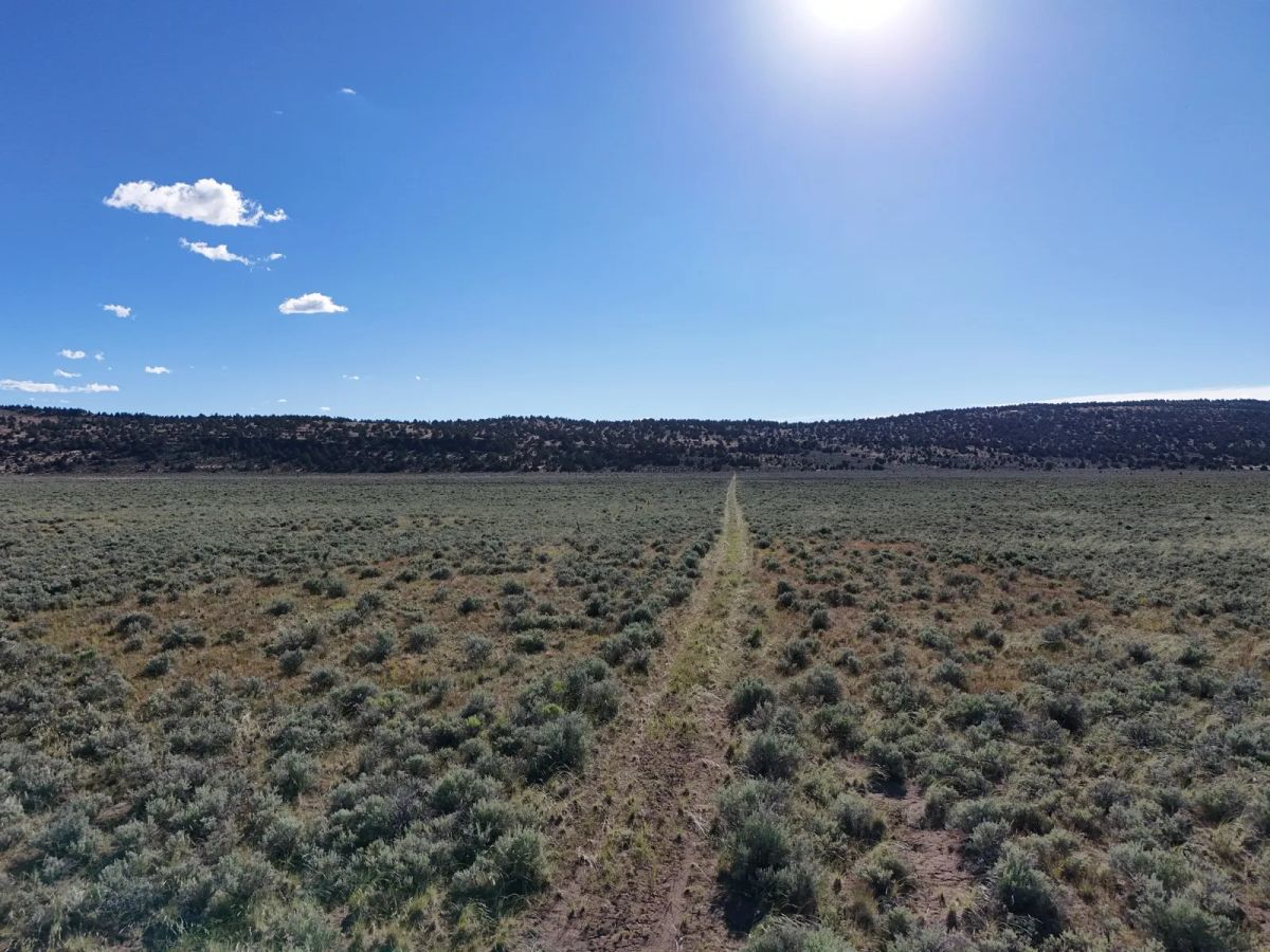 Remote Area Moon Valley Ranch - Main image