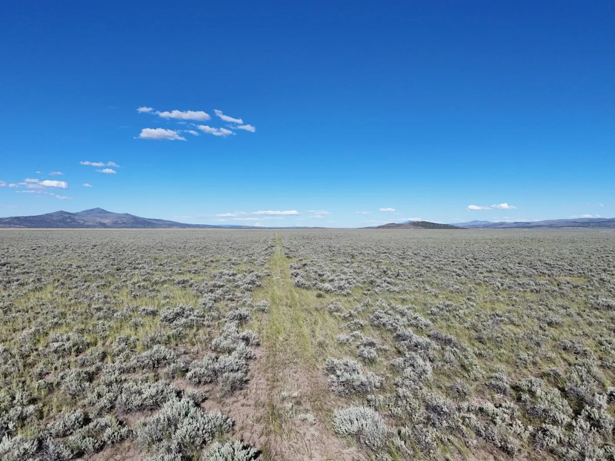 Remote Area Moon Valley Ranch - Image 2
