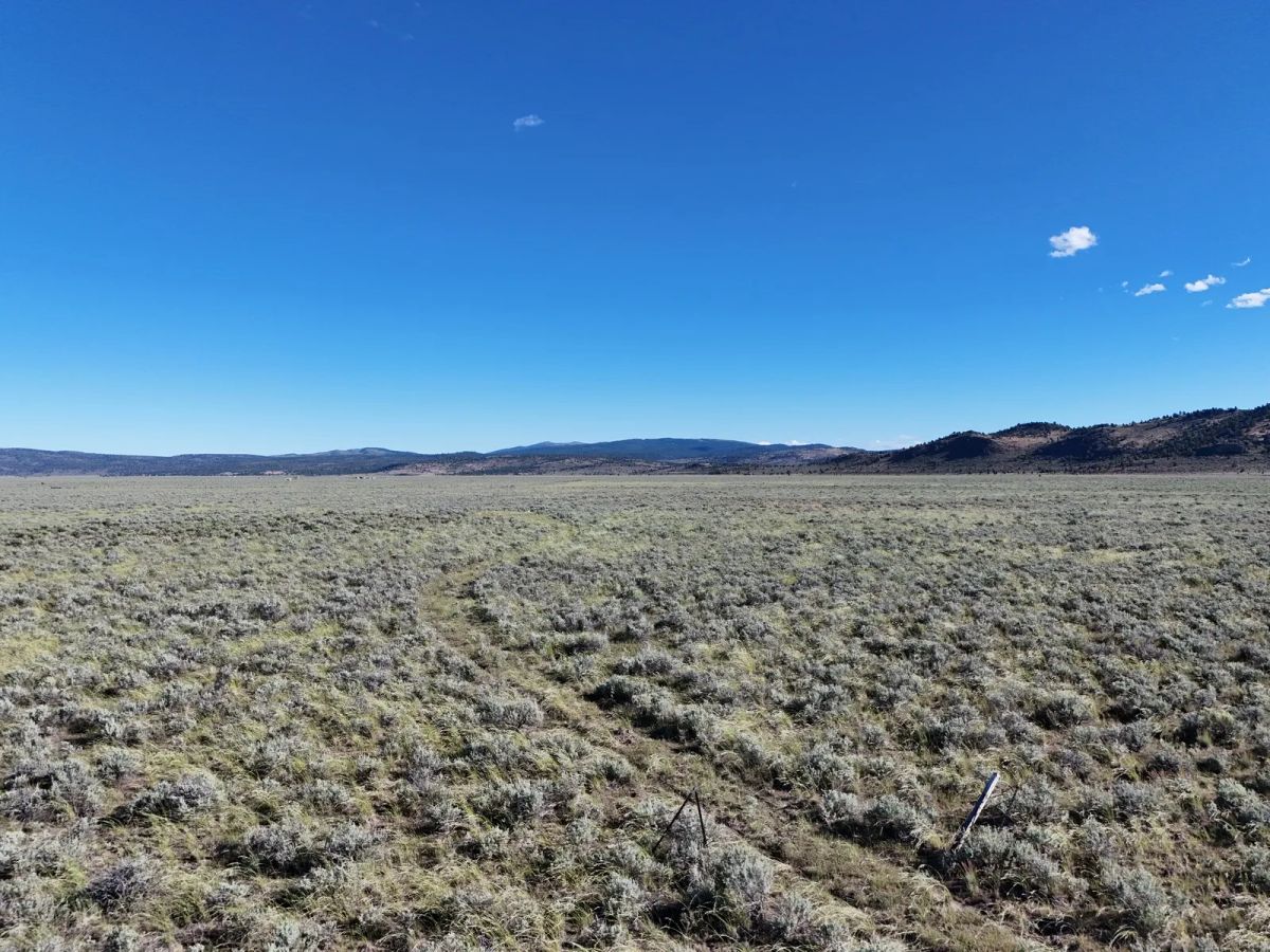 Remote Area Moon Valley Ranch - Image 3