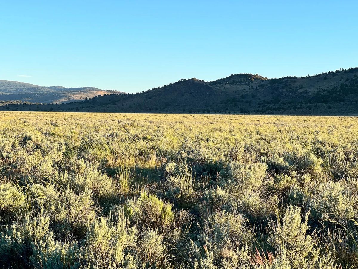 Decorative background for Remote Area Moon Valley Ranch image 5