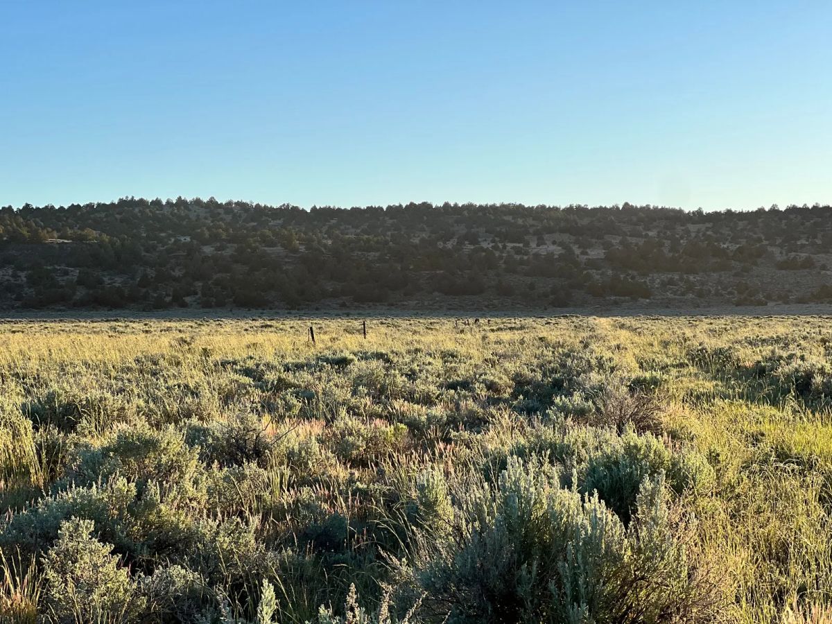 Decorative background for Remote Area Moon Valley Ranch image 7