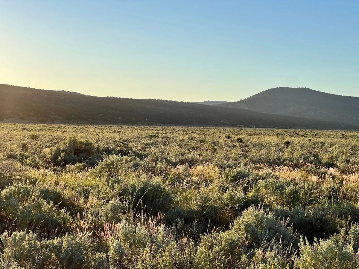 Decorative background for Remote Area Moon Valley Ranch image 9