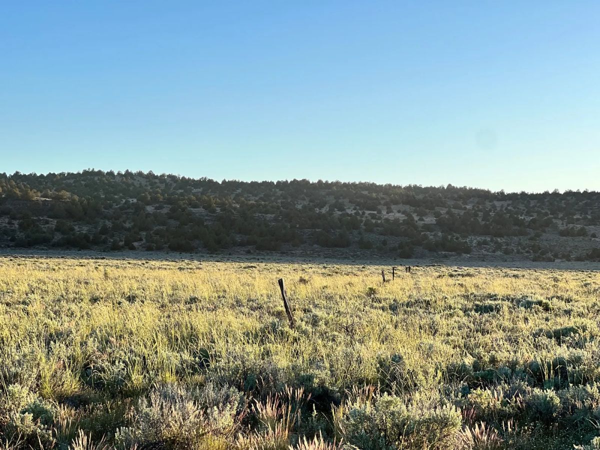 Decorative background for Remote Area Moon Valley Ranch image 10