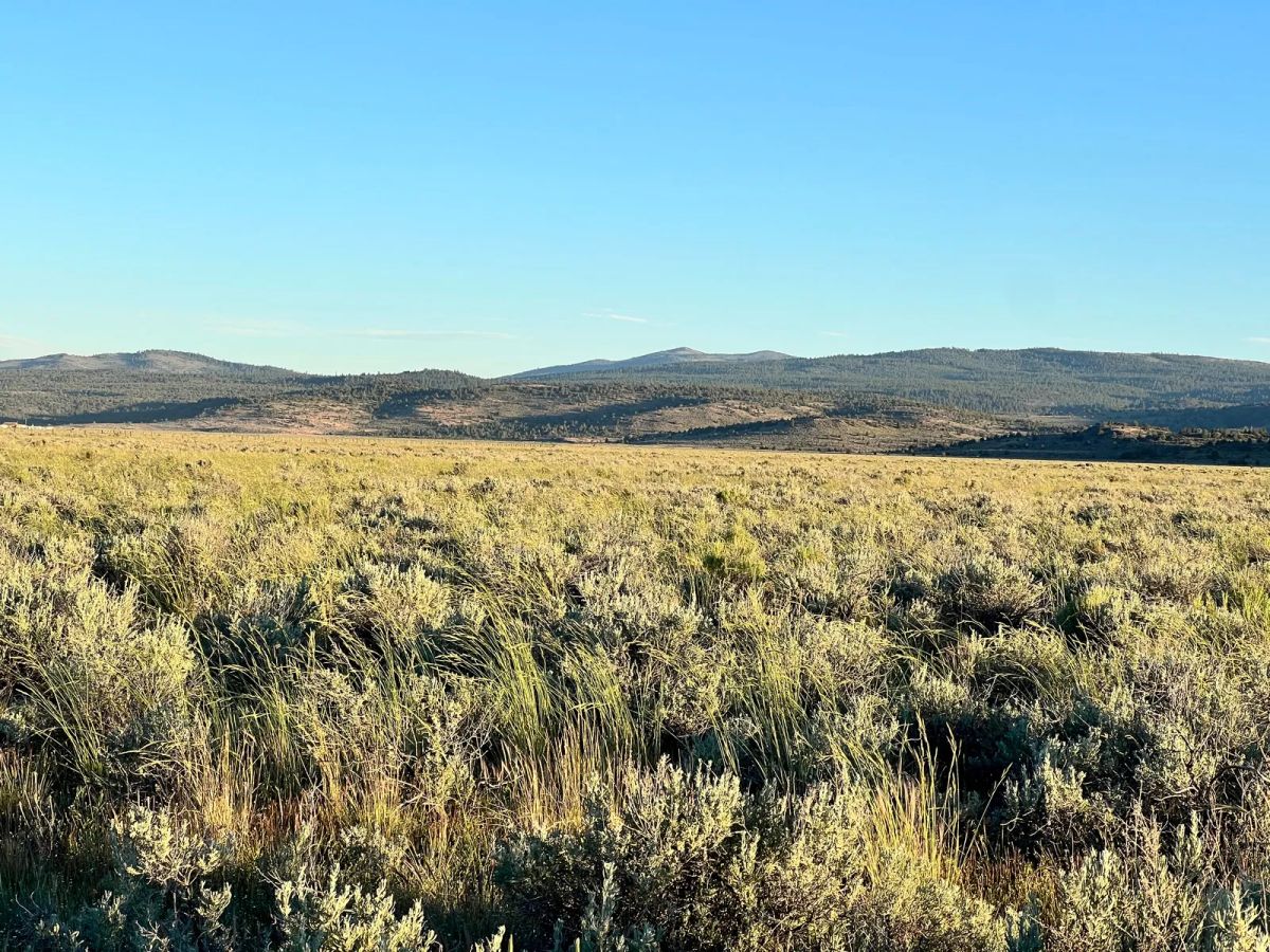 Decorative background for Remote Area Moon Valley Ranch image 11