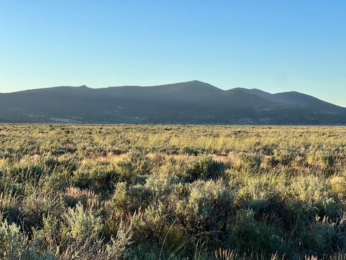 Decorative background for Remote Area Moon Valley Ranch image 15